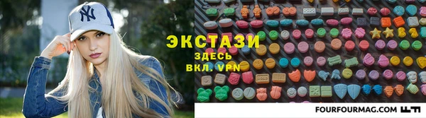 индика Мегион