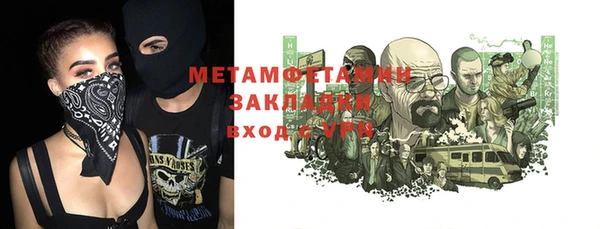 индика Мегион