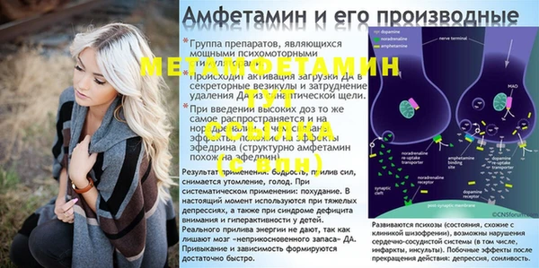 крисы Медногорск