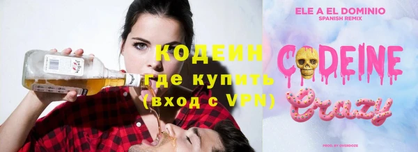 индика Мегион