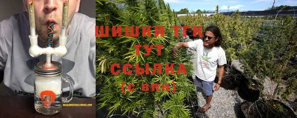 индика Мегион