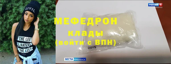 индика Мегион