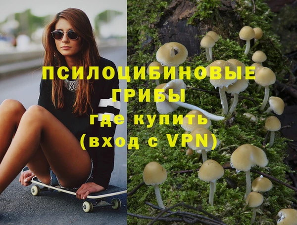 спайс Новодвинск
