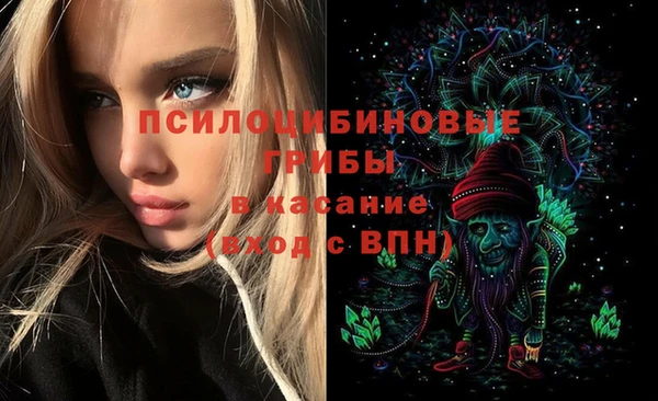 крисы Медногорск
