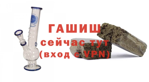 индика Мегион