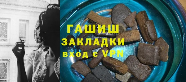 индика Мегион