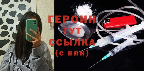 индика Мегион