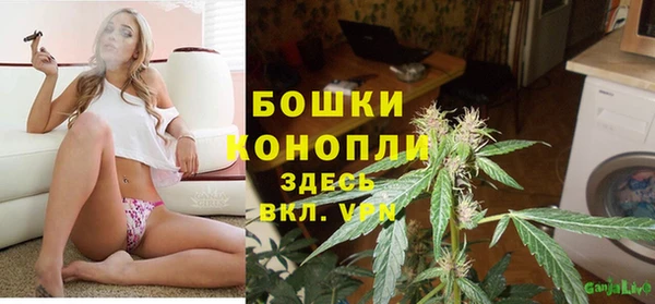 крисы Медногорск