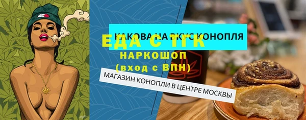 индика Мегион