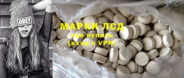 индика Мегион