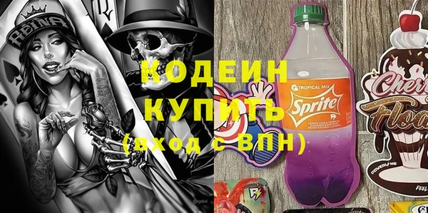 индика Мегион