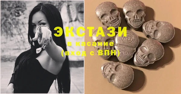 индика Мегион