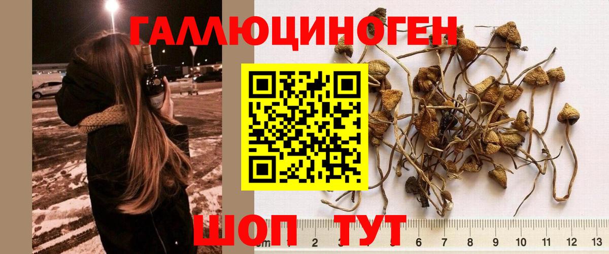 Галлюциногенные грибы прущие грибы Самара