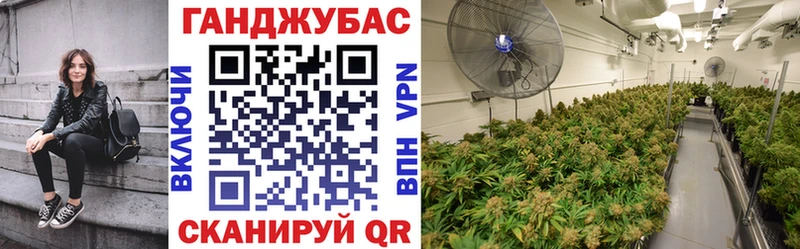 Каннабис сатива  Самара 